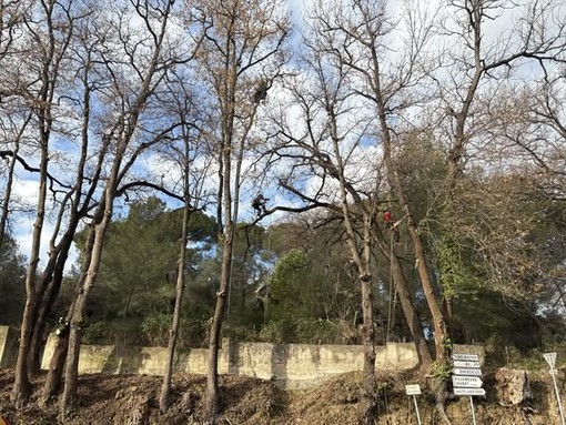 Il nuovo Parco dell’Ermitage a Villeneuve Loubet Il nuovo Parco dell’Ermitage a Villeneuve Loubet