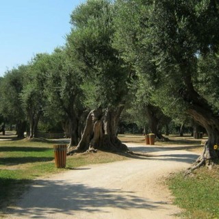 Parco Cap Martin