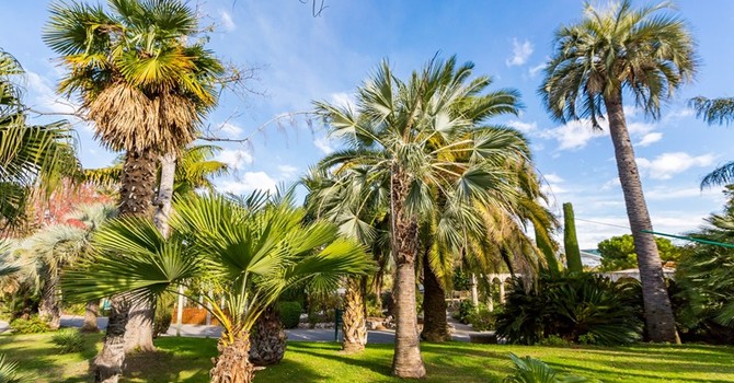 Parc Phoenix, Nizza