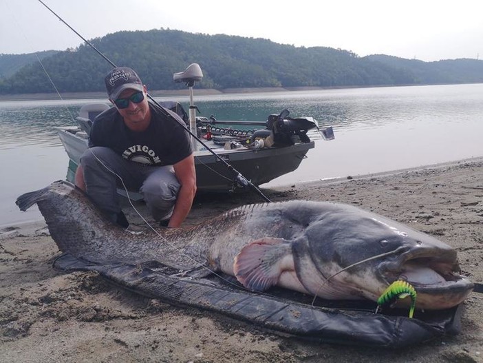 La pesca e la liberazione del pesce siluro (Fotografie di Freddy Frémont riprese da Facebook)