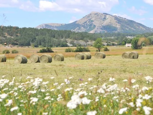 Parc Prealpes d'Azur Parc Prealpes d'Azur