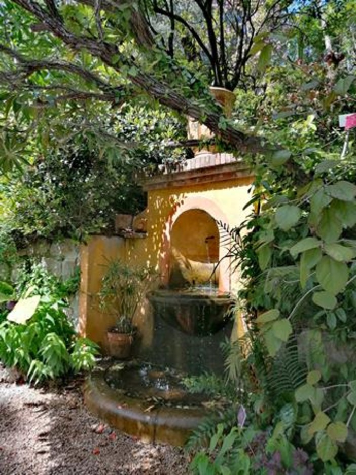 Il giardino Botanico di Val Rahmeh a Menton - Foto di Luisella Cappio Il giardino Botanico di Val Rahmeh a Menton - Foto di Luisella Cappio