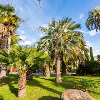 Parc Phoenix, Nizza