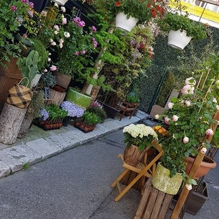 "Angoli fioriti" di Patrizia Savarese