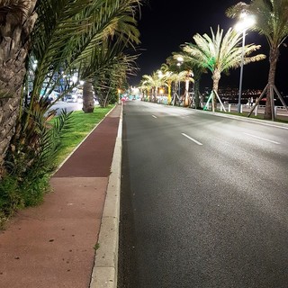 "L'oasi" di Patrizia Savarese