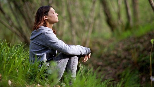 Pesticidi nell’aria, arriva la mappa interattiva nazionale: dati accessibili a cittadini e istituzioni Pesticidi nell’aria, arriva la mappa interattiva nazionale: dati accessibili a cittadini e istituzioni