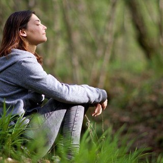 Pesticidi nell’aria, arriva la mappa interattiva nazionale: dati accessibili a cittadini e istituzioni