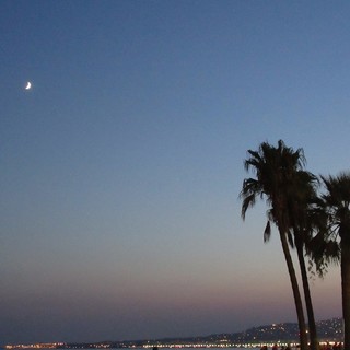 Quai des Etats Unis, Nizza