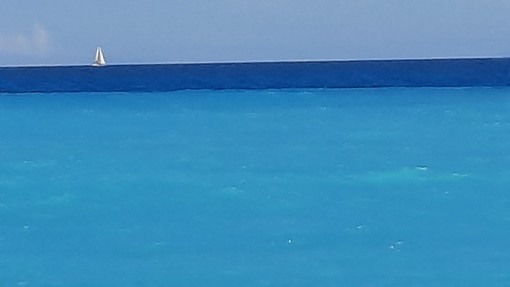 "Dipinto", fotografia di Danilo Radaelli "Dipinto", fotografia di Danilo Radaelli