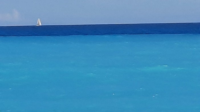 "Dipinto", fotografia di Danilo Radaelli "Dipinto", fotografia di Danilo Radaelli