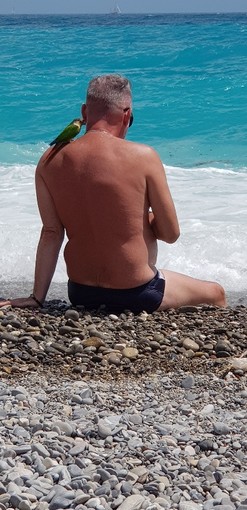"Quattro chiacchiere tra amici" di Patrizia Savarese "Quattro chiacchiere tra amici" di Patrizia Savarese