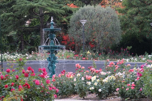 Presentazione del 4° Premio del Pubblico e festeggiamenti al Roseraie Princesse Grace di Monaco Presentazione del 4° Premio del Pubblico e festeggiamenti al Roseraie Princesse Grace di Monaco