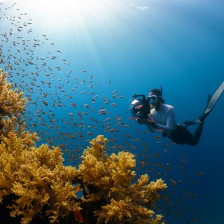 Randonnée aquatique 2026: immersioni gratuite nel Golfo Blu di Roquebrune-Cap-Martin.