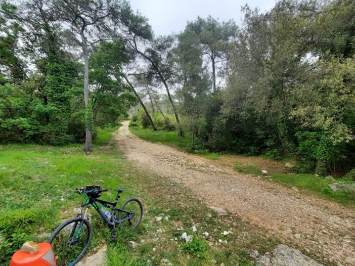 Roquefort  les Pins, fotografie di Danilo Radaelli