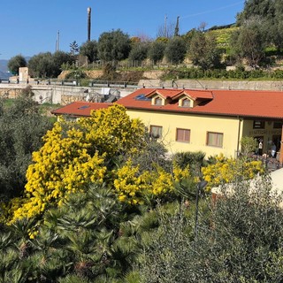 “Antichi Sapori” è un ristorante immerso nel verde, dove gustare piatti squisiti circondati dalla natura e da un ambiente cordiale