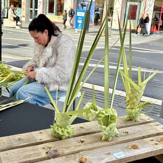 I rameaux - Le fotografie nel testo sono di Silvia Assin
