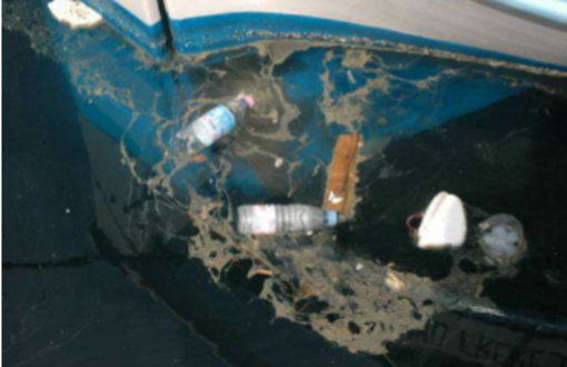 Rifiuti nel mare Rifiuti nel mare