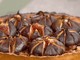 Tarte sablée aux figues poêlées Tarte sablée aux figues poêlées