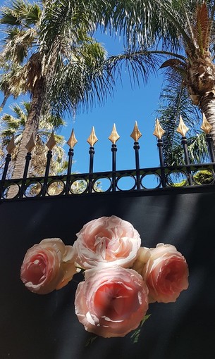 "Rose e spine virtuali" di Jean Pascal Galeotti