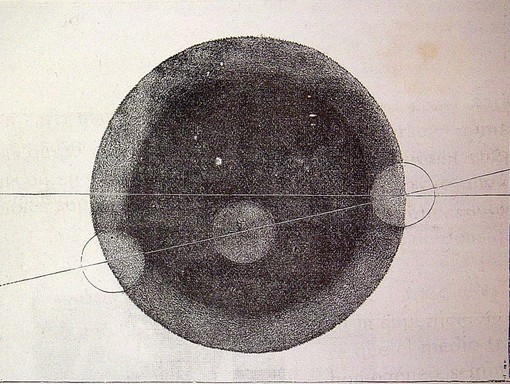 “Elementa”, una mostra a Villa Adelaïda