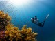 Randonnée aquatique 2026: immersioni gratuite nel Golfo Blu di Roquebrune-Cap-Martin. Randonnée aquatique 2026: immersioni gratuite nel Golfo Blu di Roquebrune-Cap-Martin.
