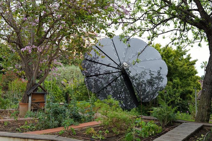 Il roseto Grace Kelly a Monaco, fotografie di Silvia Assin Il roseto Grace Kelly a Monaco, fotografie di Silvia Assin