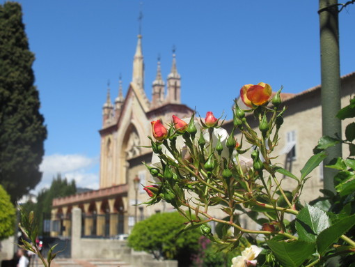 Il roseto del Monastero di Cimiez: dove trionfano i colori e il silenzio