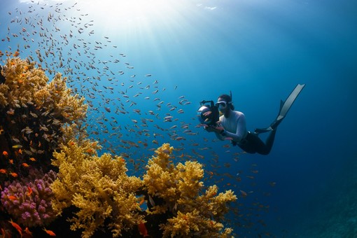 Randonnée aquatique 2026: immersioni gratuite nel Golfo Blu di Roquebrune-Cap-Martin. Randonnée aquatique 2026: immersioni gratuite nel Golfo Blu di Roquebrune-Cap-Martin.