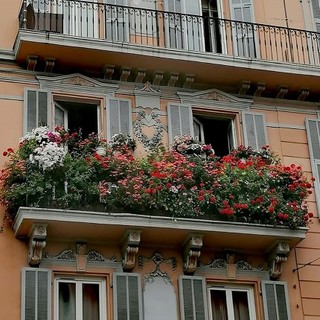 "Fleurs!", fotografia di Luisella Cappio