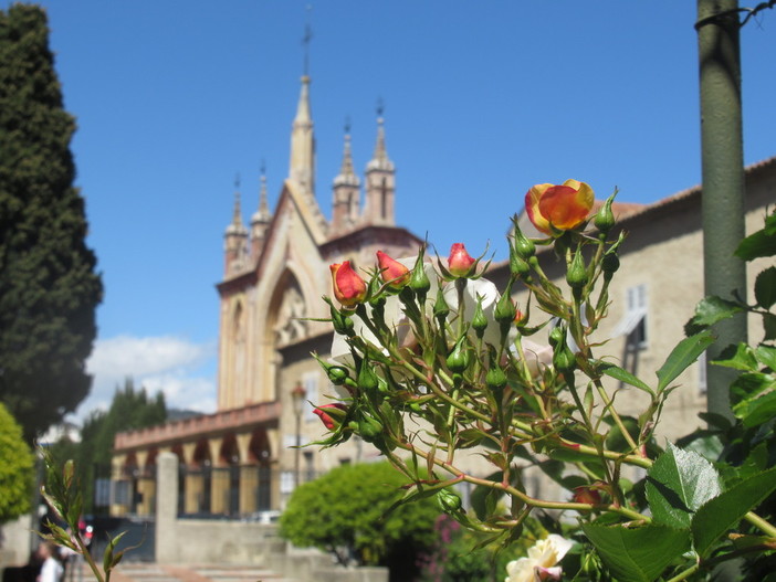 Il roseto del Monastero di Cimiez: dove trionfano i colori e il silenzio