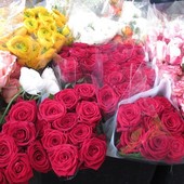 Cuori in fiore: auguri a chi ama