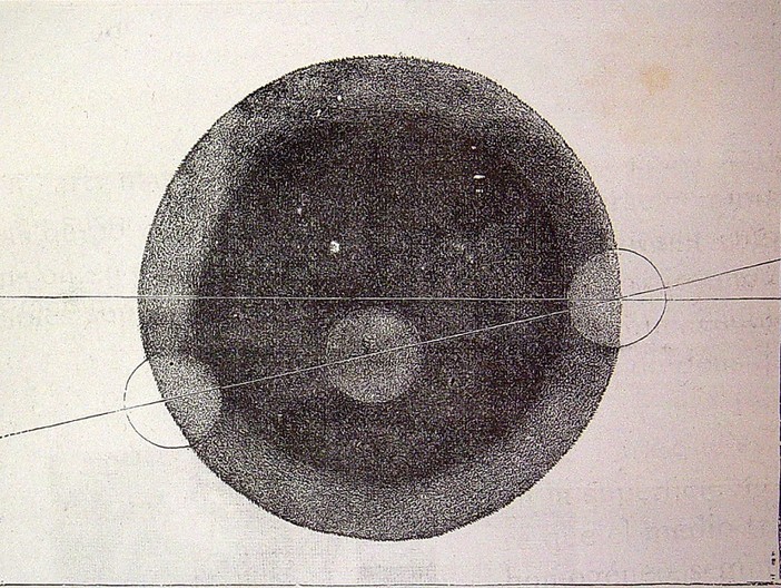 “Elementa”, una mostra a Villa Adelaïda