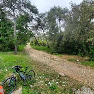 Roquefort  les Pins, fotografie di Danilo Radaelli