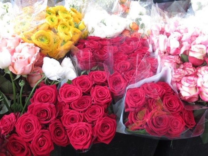 Cuori in fiore: auguri a chi ama