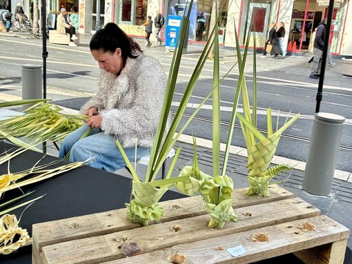I rameaux - Le fotografie nel testo sono di Silvia Assin I rameaux - Le fotografie nel testo sono di Silvia Assin
