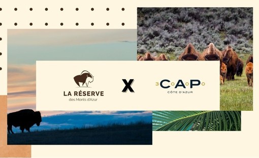 La Réserve des Monts d’Azur: un progetto verde per la biodiversità e il clima