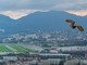 Rimessa in libertà c Maire de Cannes