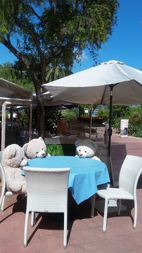 "In regola col pass?", fotografia di Milena Visentini