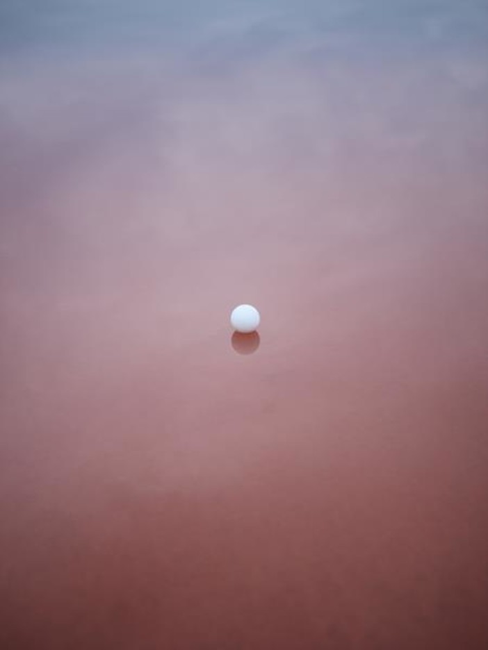 "Repenser le vivant", mostra di Alexandre Dufaye al Museo della Fotografia di Nizza "Repenser le vivant", mostra di Alexandre Dufaye al Museo della Fotografia di Nizza