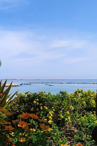 Foto 1: Passeggiare lungo il Var nel Parco dipartimentale Rives du Var e quindi lungo il mare - Foto Office de Tourisme Métropolitain Crédits BIT SLDV @ Olivier Arlet Foto 1: Passeggiare lungo il Var nel Parco dipartimentale Rives du Var e quindi lungo il mare - Foto Office de Tourisme Métropolitain Crédits BIT SLDV @ Olivier Arlet