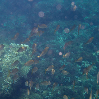 Sottocosta …a cura di Ghjuvan Pasquale