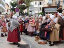 Saint-Laurent-du-Var, Fête du Terroir Saint-Laurent-du-Var, Fête du Terroir