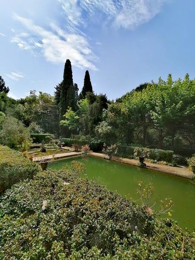 Jardin Serre de la Madone, Menton - Fotografie di Luisella Cappio