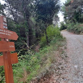 Il sentiero che conduce al Sommet du Broc, fotografie di Danilo Radaelli