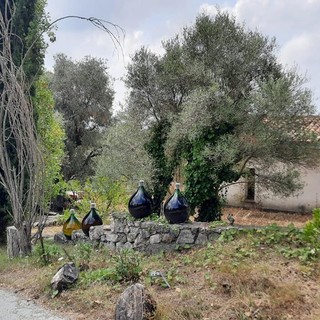 Il percorso verso Saint Jeannet, fotografie di Danilo Radaelli