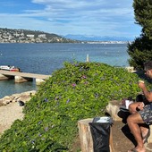 Île de Sainte-Marguerite, fotografie di Silvia Assin Île de Sainte-Marguerite, fotografie di Silvia Assin