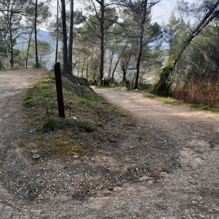 Sentieri dell'arrière pays, Contes - Fotografie di Danilo Radaelli