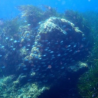 Sottocosta …a cura di Ghjuvan Pasquale