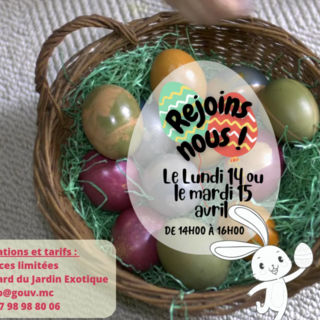 Viaggio nel cuore della preistoria: laboratori per bambini al Museo di Antropologia Preistorica di Monaco