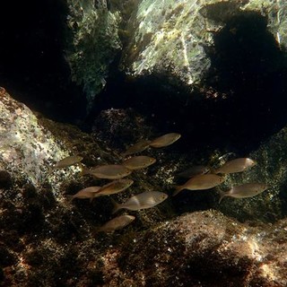 Sottocosta …a cura di Ghjuvan Pasquale